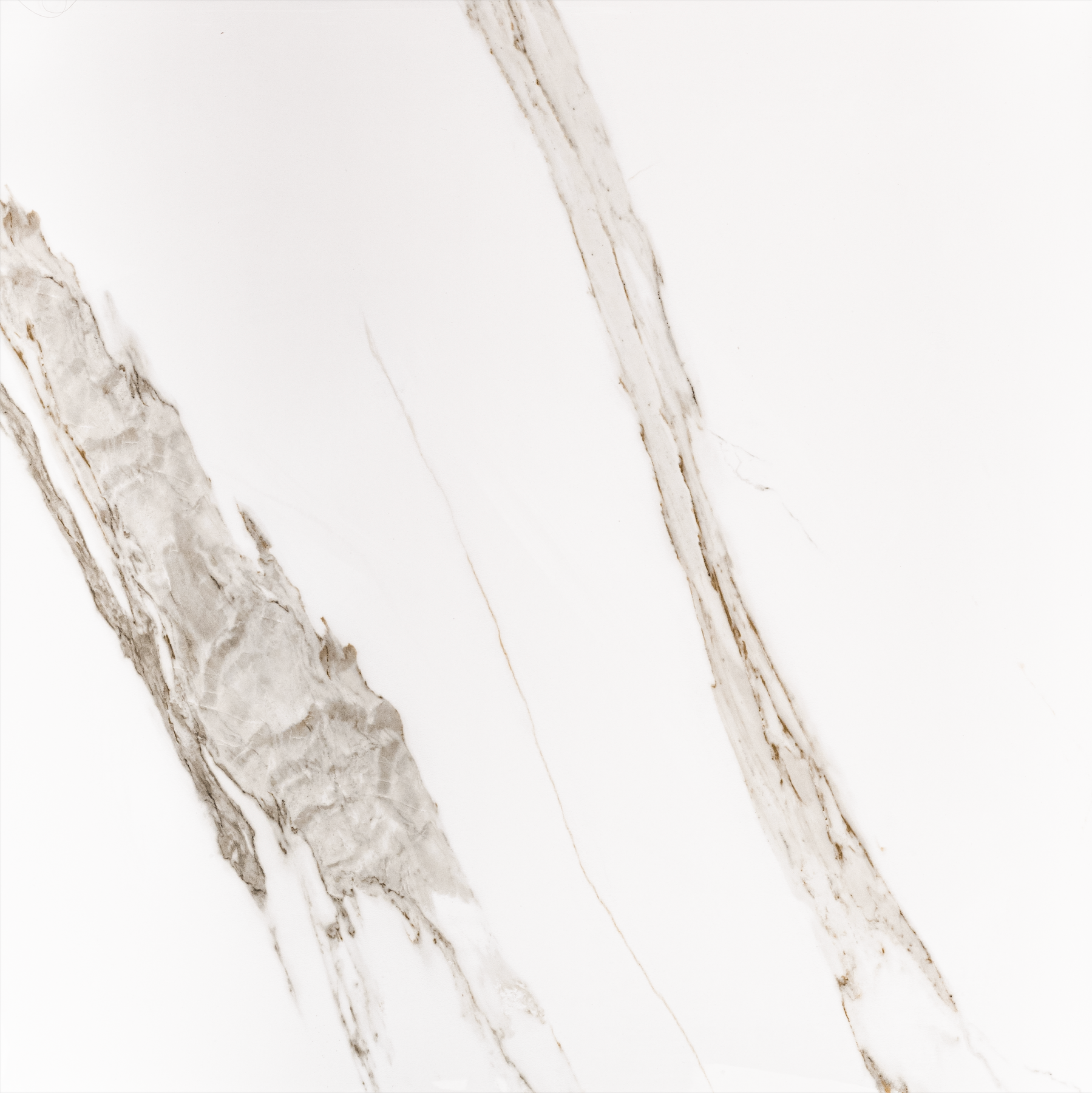 Preview Venato 24x24 Polished Marble Look Porcelain Tile