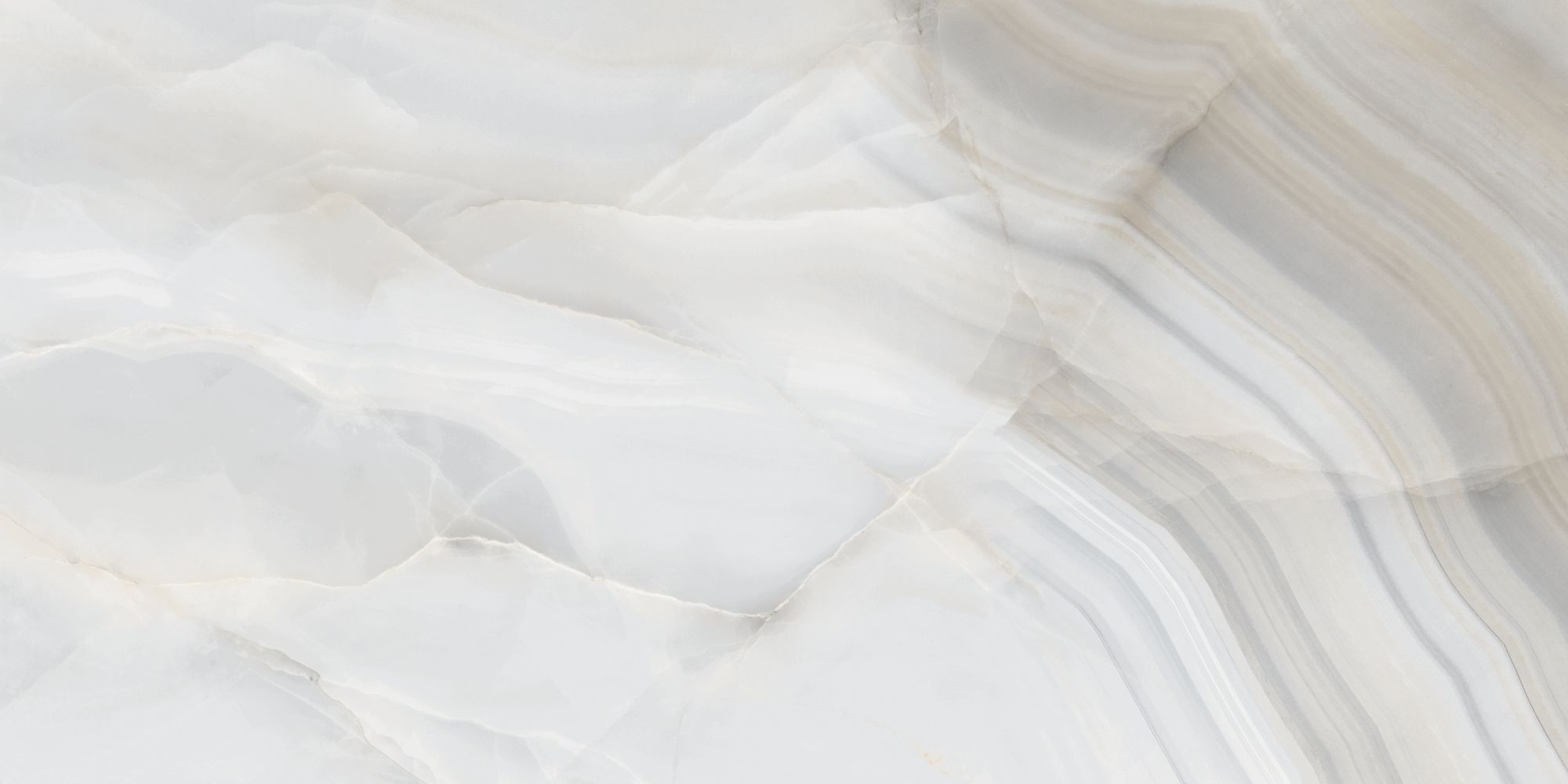 Rodas Perla 12x24 Polished Finish Porcelain Tile