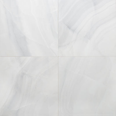 Rodas White 24x24 Polished Finish Porcelain Tile