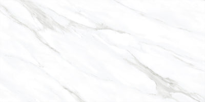 Royal Calacatta 24x48 Matte Marble Look Porcelain Tile