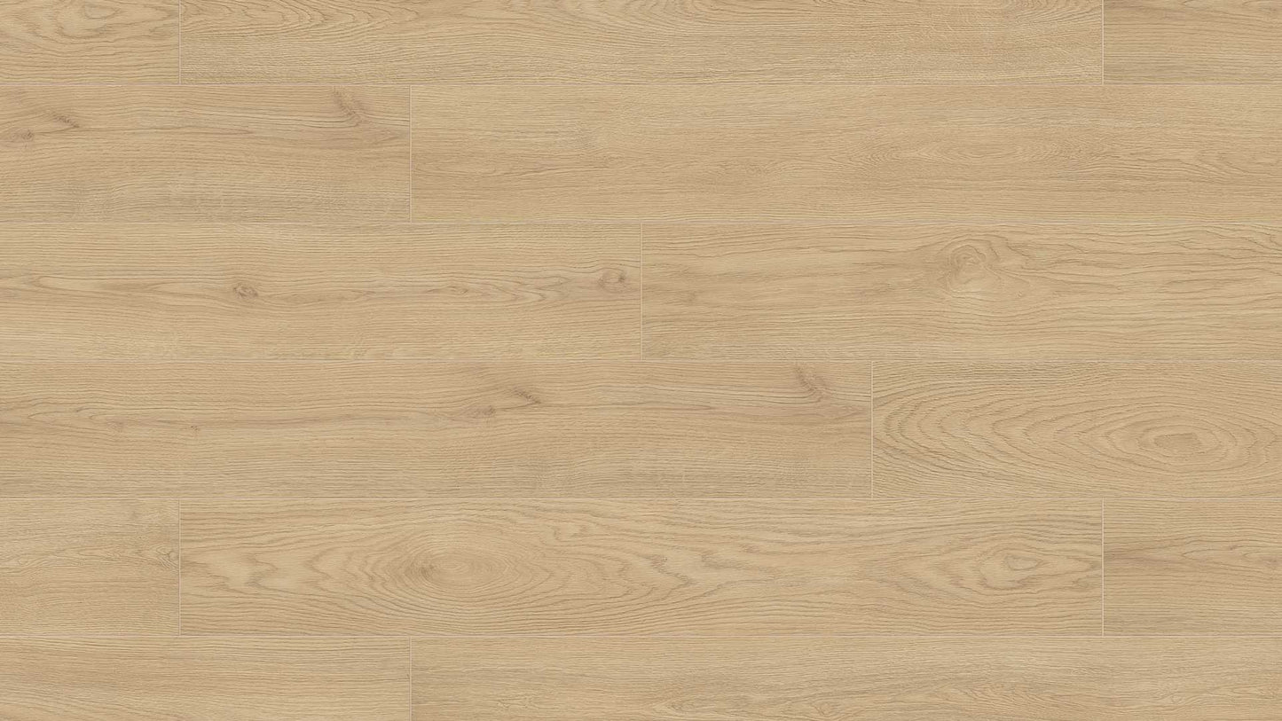 Eurostyle Sand Cantal Oak 7"x50"x10mm Laminate Flooring