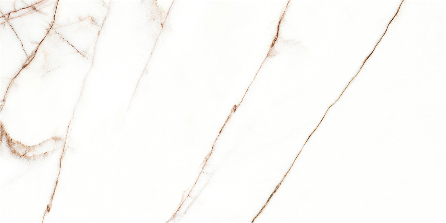 Melbourne 24x48 Polished Finish Marble Look Porcelain Tile