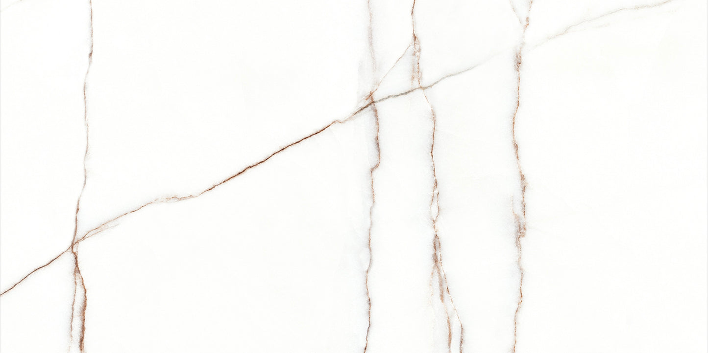 Melbourne 24x48 Matte Finish Marble Look Porcelain Tile