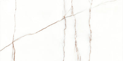 Melbourne 24x48 Matte Finish Marble Look Porcelain Tile