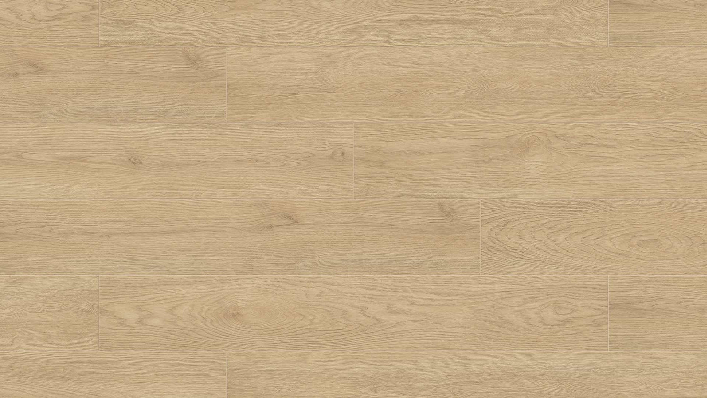 Eurostyle Silk Cornforth Oak 7"x50"x10mm Laminate Flooring