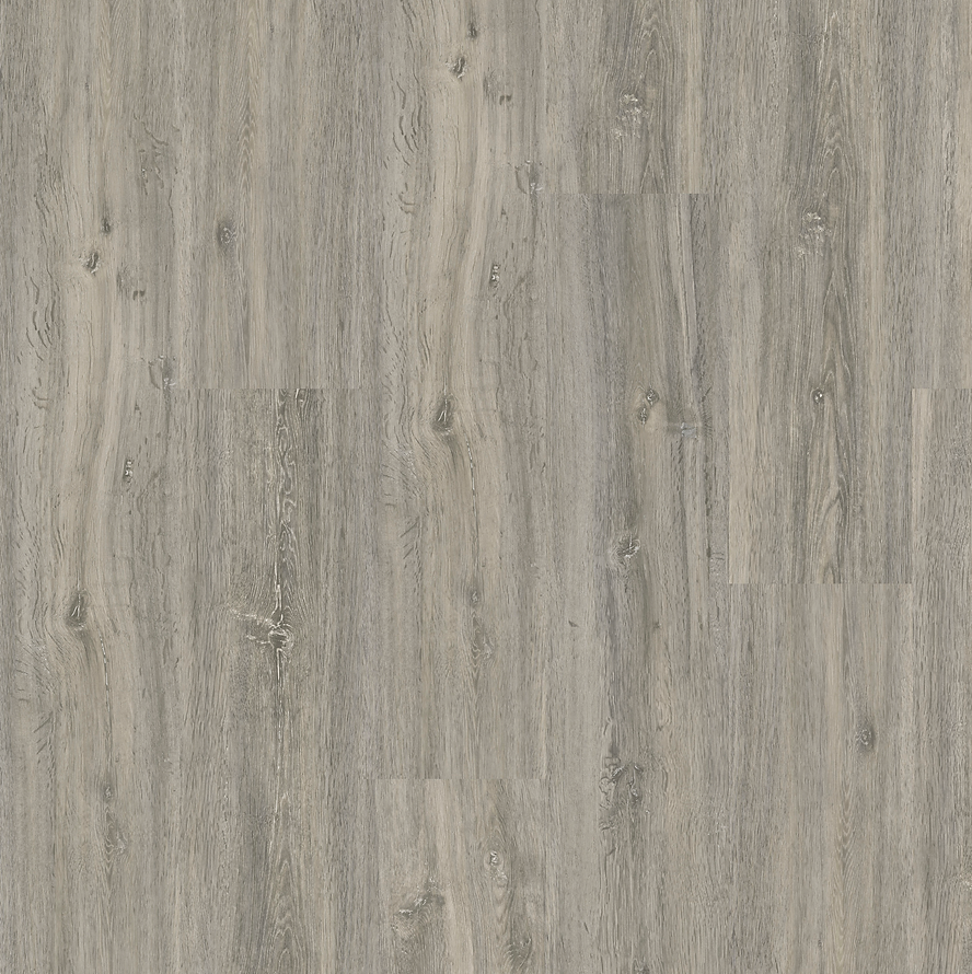 Harbinger Signature Sussex 9