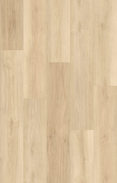 HTBC Maple Essence Toffee 9"x60"x12mm Laminate Flooring