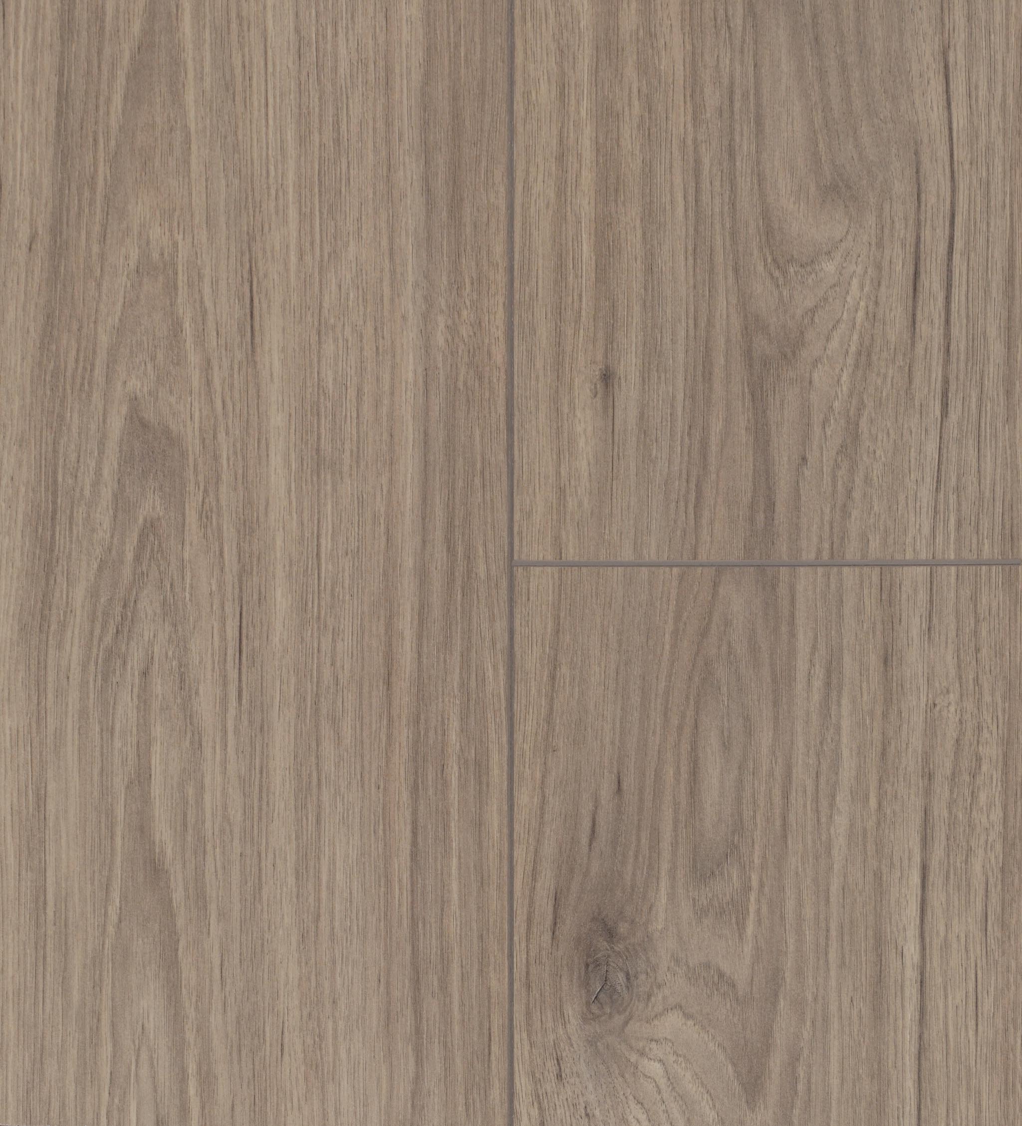 Taiga Artfloor River Hawk 8