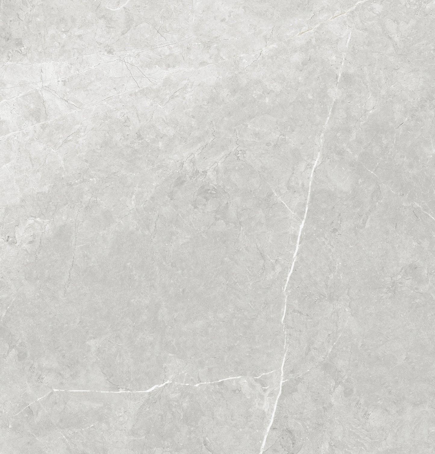 Vena White 24"x24" Polished Finish Porcelain Tile