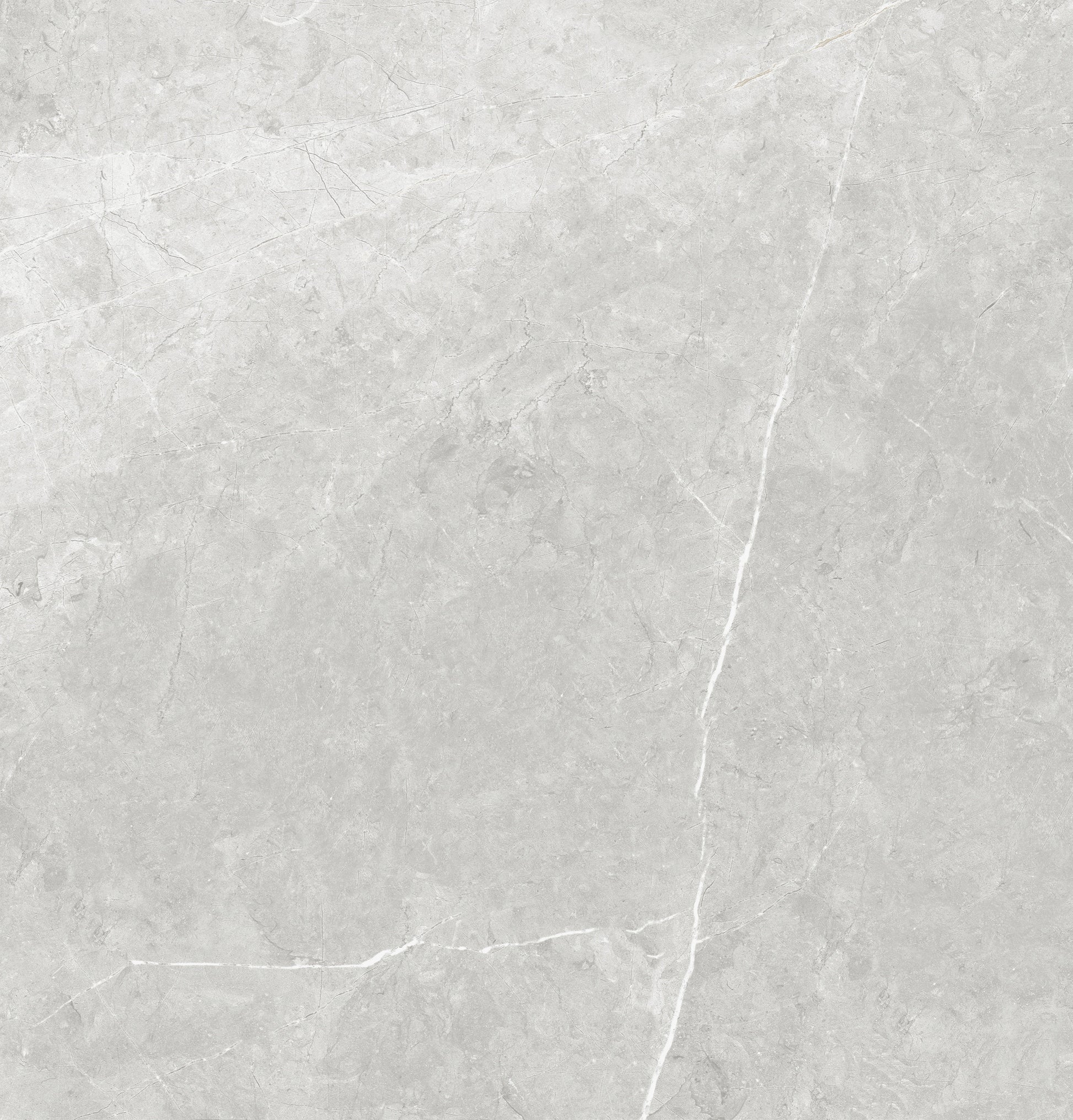 Vena White 24"x24" Polished Finish Porcelain Tile