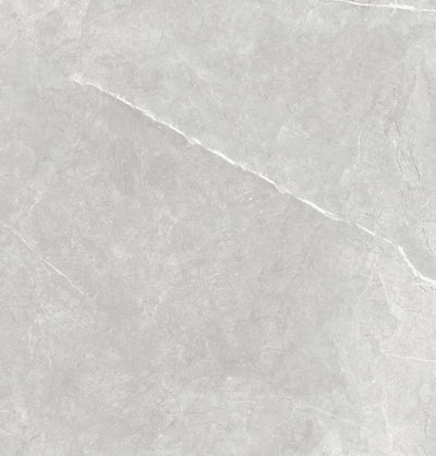 Vena White 24"x24" Polished Finish Porcelain Tile