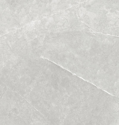 Vena White 24"x24" Polished Finish Porcelain Tile