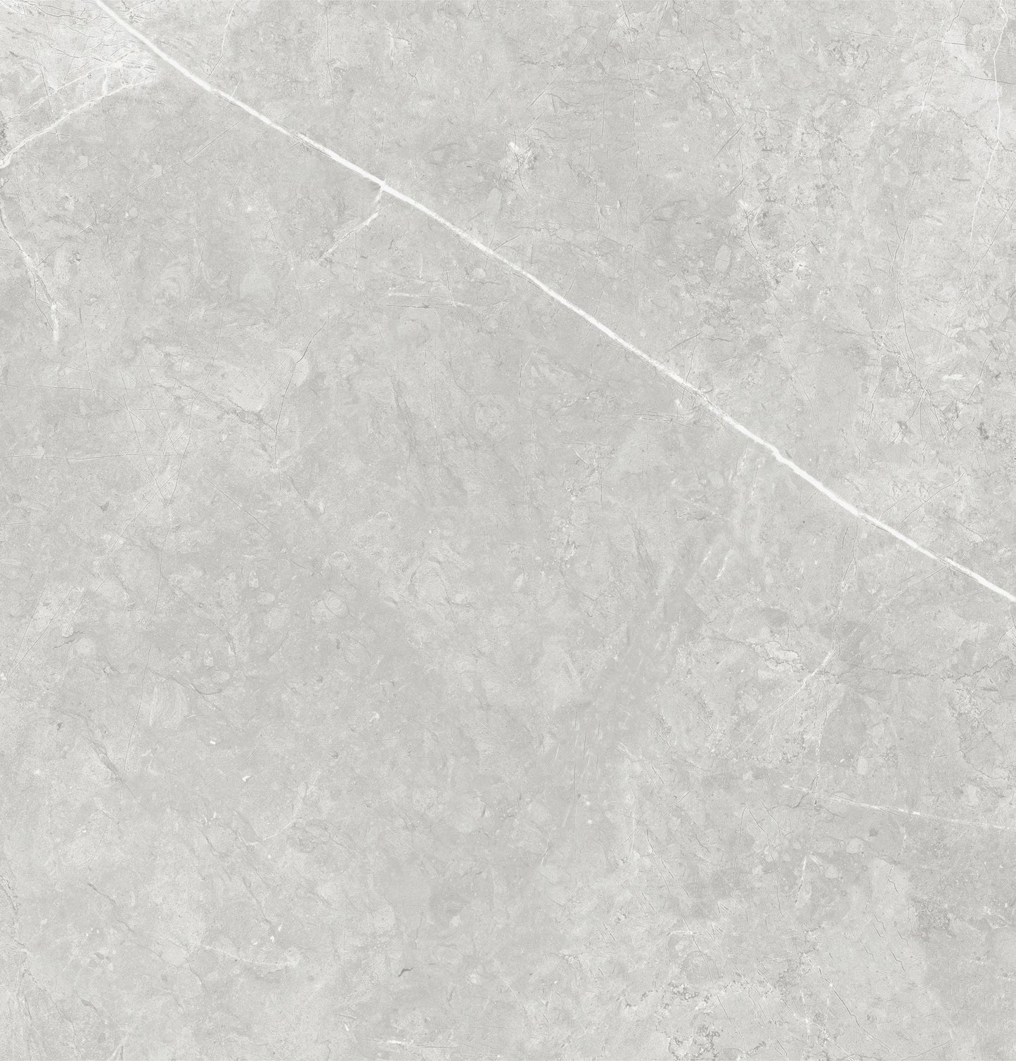 Vena White 24"x24" Polished Finish Porcelain Tile