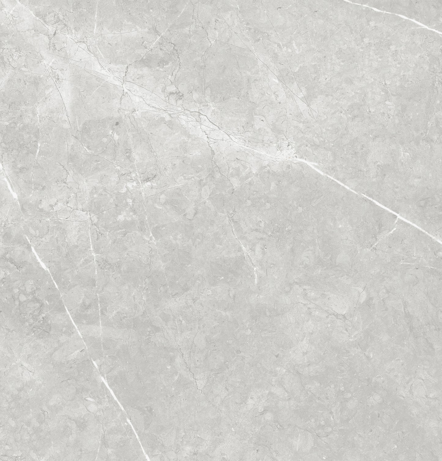 Vena White 24"x24" Polished Finish Porcelain Tile