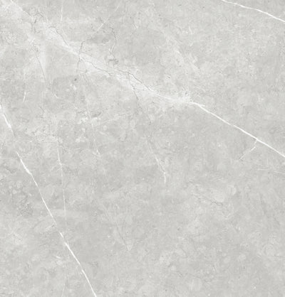 Vena White 24"x24" Polished Finish Porcelain Tile