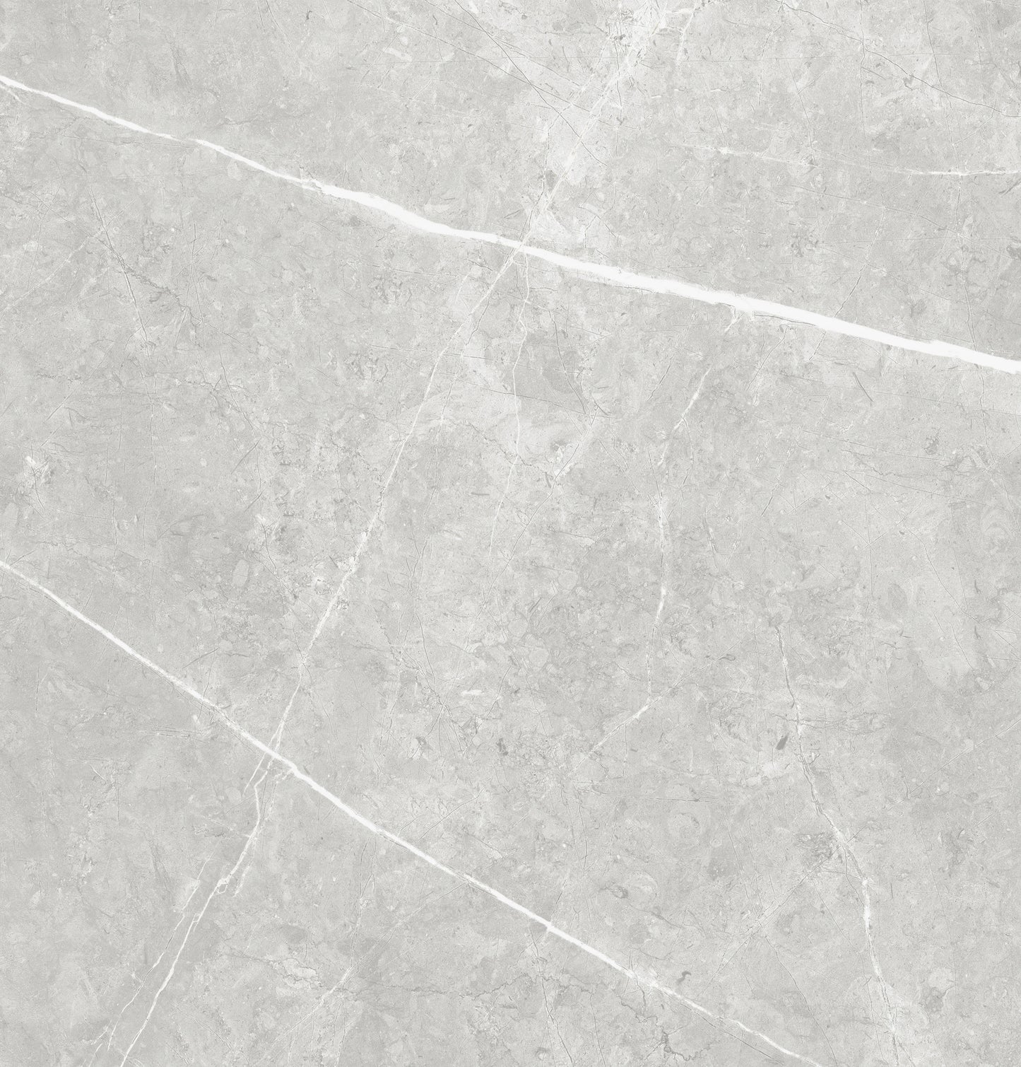 Vena White 24"x24" Polished Finish Porcelain Tile