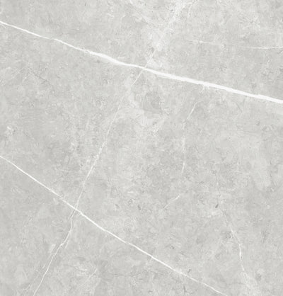 Vena White 24"x24" Polished Finish Porcelain Tile