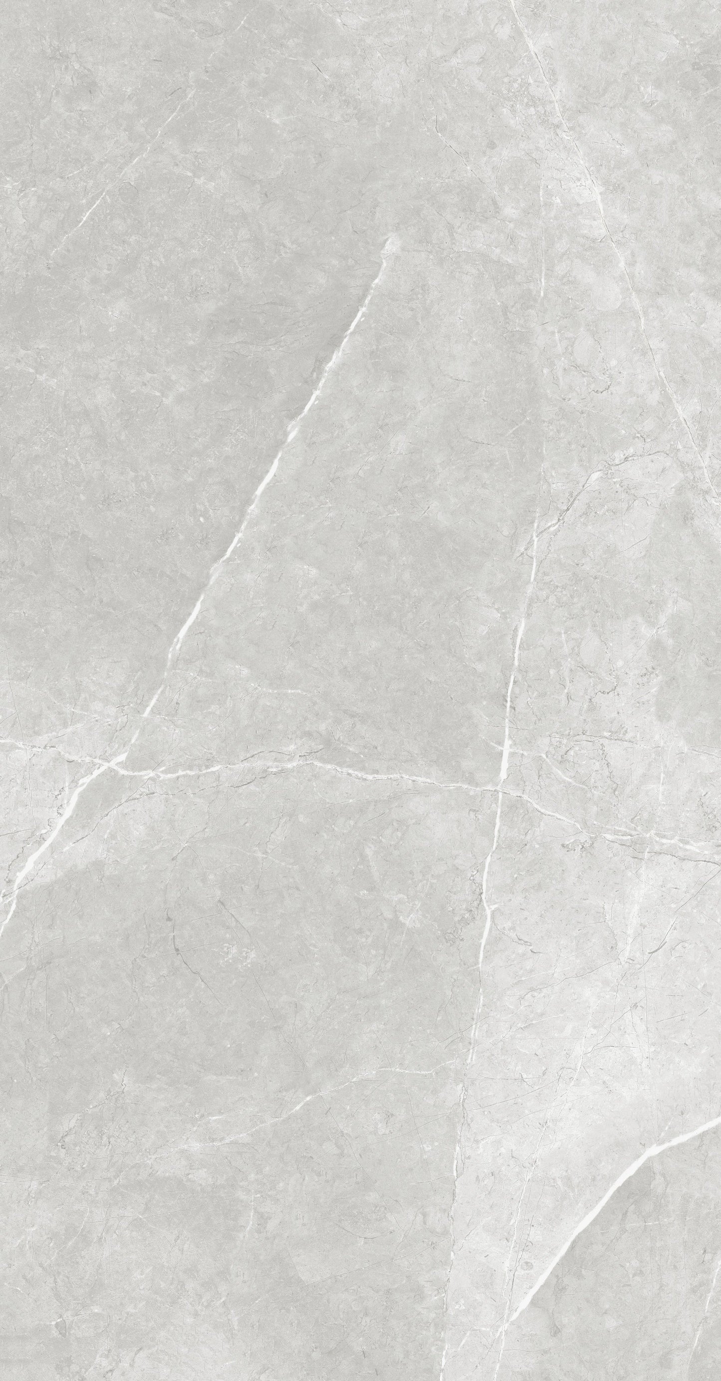 Vena White 24"x48" Polished Finish Porcelain Tile