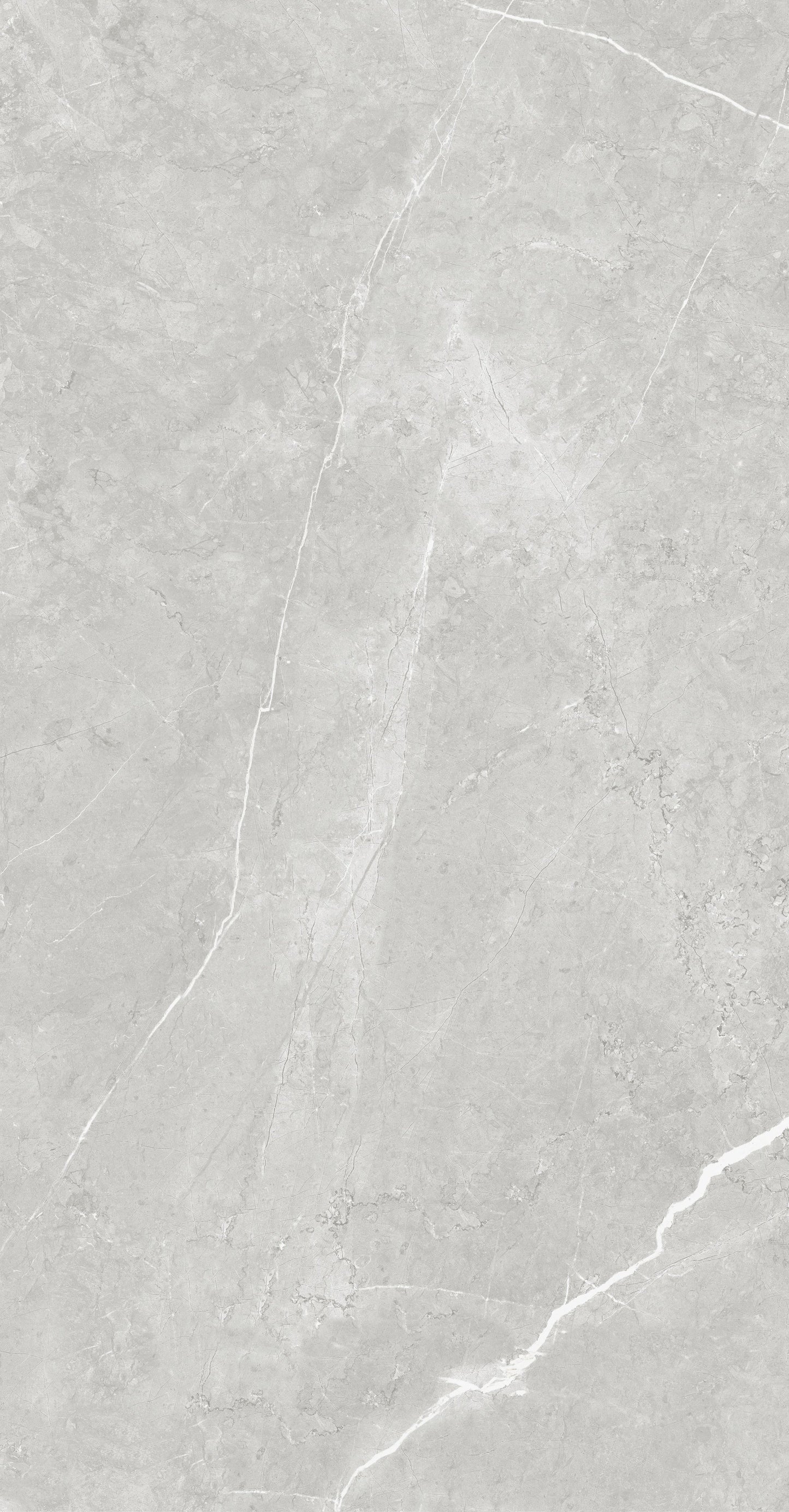 Vena White 24"x48" Polished Finish Porcelain Tile