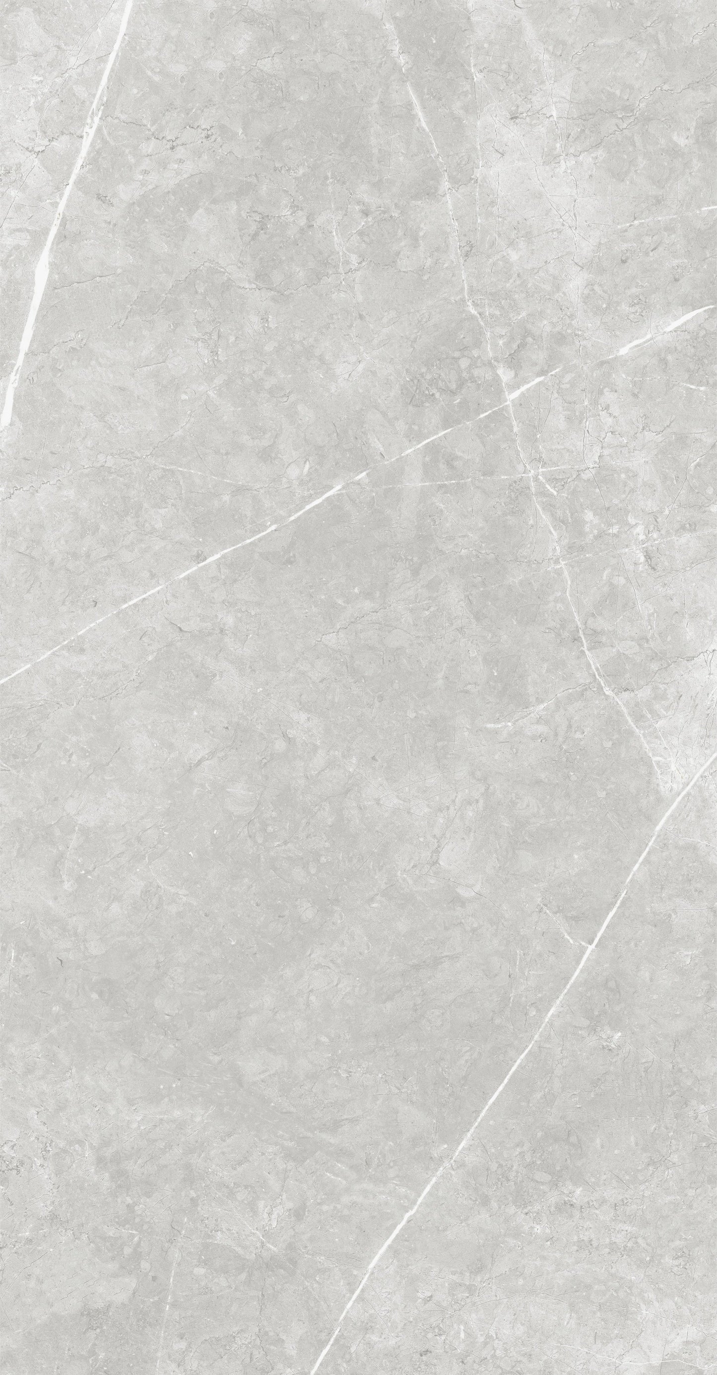 Vena White 24"x48" Polished Finish Porcelain Tile