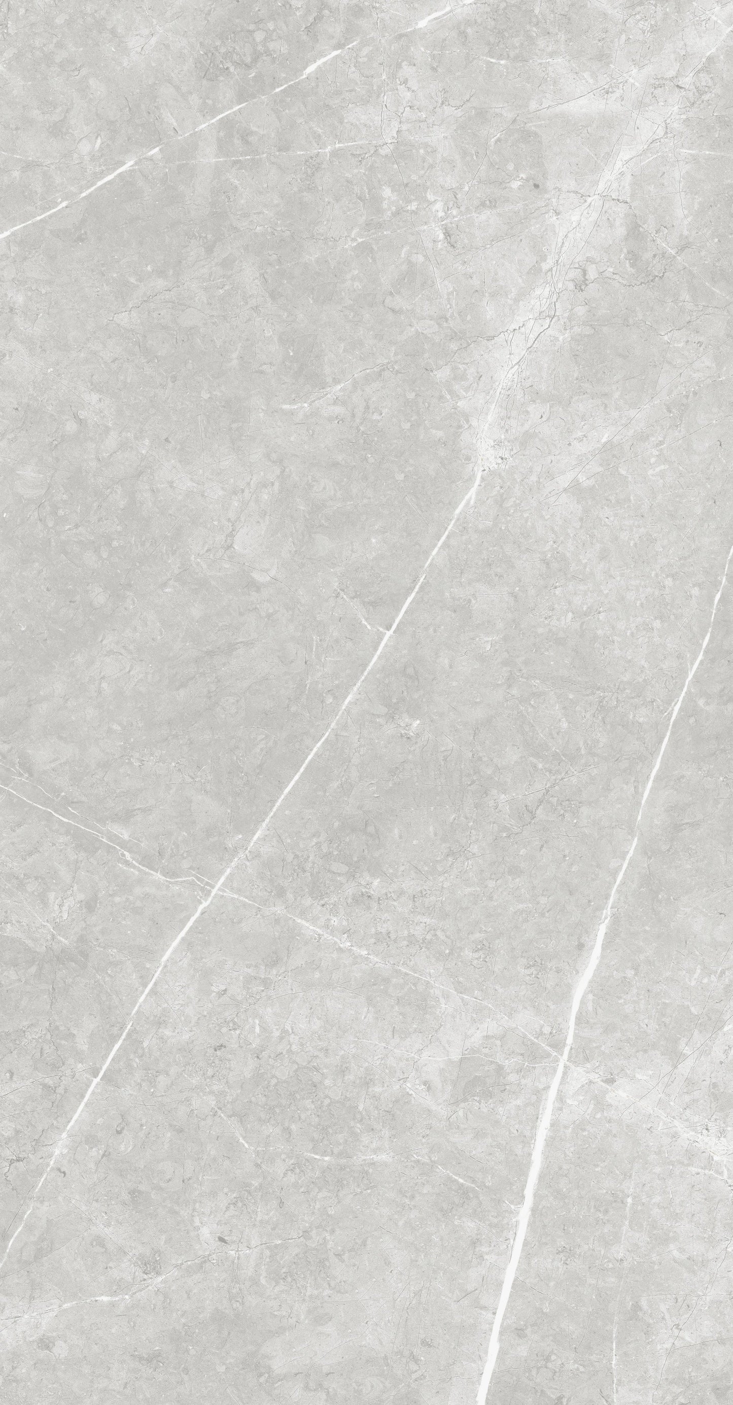 Vena White 24"x48" Polished Finish Porcelain Tile